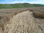 Sugar Hill, Wiltshire crop circle, aerial photo 23