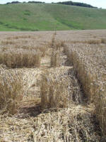 Sugar Hill, Wiltshire crop circle, aerial photo 19