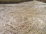Sugar Hill, Wiltshire crop circle, aerial photo 22