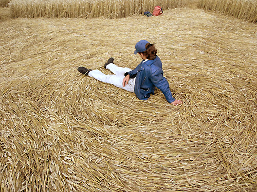 Sugar Hill, Wiltshire crop circle, aerial photo 41