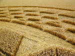 Sugar Hill, Wiltshire crop circle, aerial photo 35