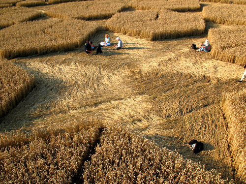 Sugar Hill, Wiltshire crop circle, aerial photo 32