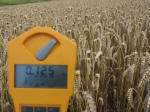 Sugar Hill, Wiltshire crop circle, aerial photo 38