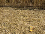 Sugar Hill, Wiltshire crop circle, aerial photo 36