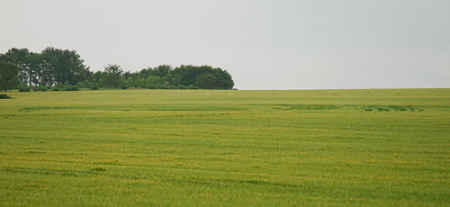 Up Somborne, Hampshire crop circle, aerial photo 2