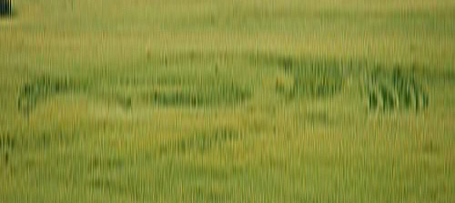 Up Somborne, Hampshire crop circle, aerial photo 3