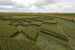 West Down, Wiltshire crop circle, aerial photo 11