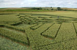 West Down, Wiltshire crop circle, aerial photo 10