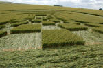 West Down, Wiltshire crop circle, aerial photo 16