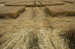 West Kennett, Wiltshire crop circle, aerial photo 16