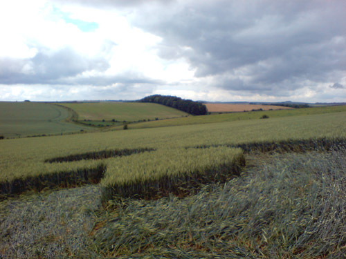 Westwoods, Wiltshire crop circle, aerial photo 22
