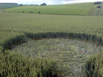 Westwoods, Wiltshire crop circle, aerial photo 25