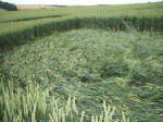 Westwoods, Wiltshire crop circle, aerial photo 21