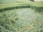 Westwoods, Wiltshire crop circle, aerial photo 10