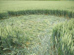 Westwoods, Wiltshire crop circle, aerial photo 12