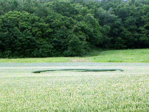 Westwoods, Wiltshire crop circle, aerial photo 28
