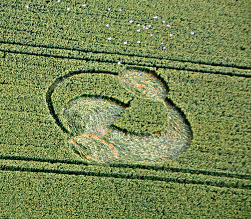 Westwoods, Wiltshire crop circle, aerial photo 2