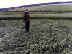 Westwoods (2), Wiltshire crop circle, aerial photo 8