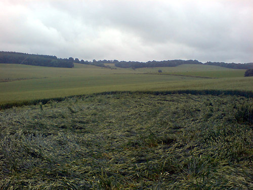 Westwoods (2), Wiltshire crop circle, aerial photo 5