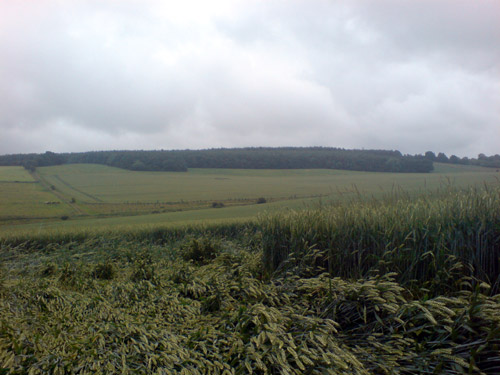 Westwoods (2), Wiltshire crop circle, aerial photo 16
