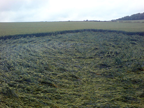 Westwoods (2), Wiltshire crop circle, aerial photo 4