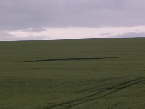 Westwoods (2), Wiltshire crop circle, aerial photo 18