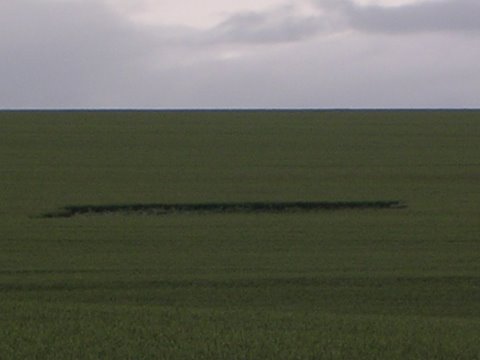 Westwoods (2), Wiltshire crop circle, aerial photo 17