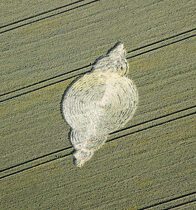 Westwoods (2), Wiltshire crop circle, aerial photo 2