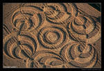 Westwoods (3), Wiltshire crop circle, aerial photo 13
