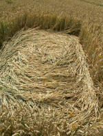 White's Hill, Wiltshire crop circle, aerial photo 13