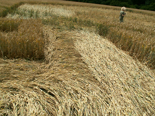 White's Hill, Wiltshire crop circle, aerial photo 14