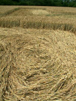 White's Hill, Wiltshire crop circle, aerial photo 17
