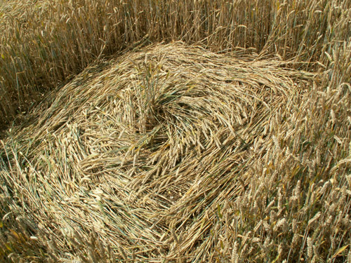 White's Hill, Wiltshire crop circle, aerial photo 18