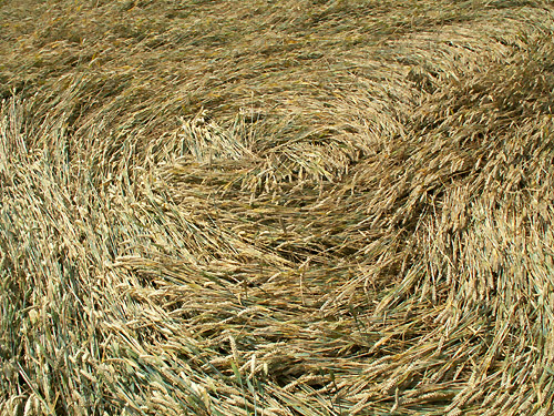 White's Hill, Wiltshire crop circle, aerial photo 20