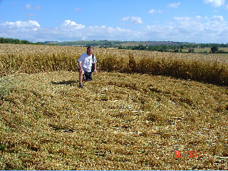 Wilton Water Grid, Wiltshire crop circle, aerial photo 9