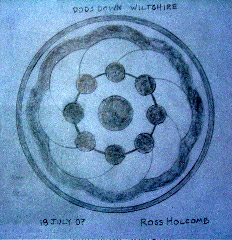 Wilton Water Grid, Wiltshire crop circle, aerial photo 11
