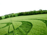 Winterbourne Monkton, Wiltshire crop circle, aerial photo 16