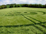 Winterbourne Monkton, Wiltshire crop circle, aerial photo 14