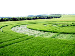 Winterbourne Monkton, Wiltshire crop circle, aerial photo 7