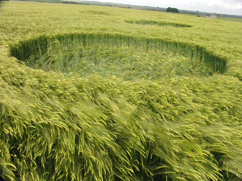 Yatesbury Field (1), Wiltshire crop circle, aerial photo 40