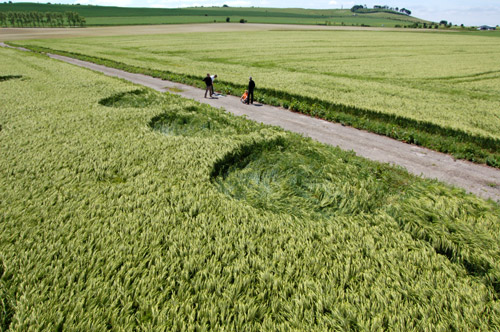 Yatesbury Field (1), Wiltshire crop circle, aerial photo 9