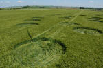 Yatesbury Field (1), Wiltshire crop circle, aerial photo 15