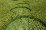 Yatesbury Field (1), Wiltshire crop circle, aerial photo 14
