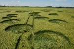 Yatesbury Field (1), Wiltshire crop circle, aerial photo 12