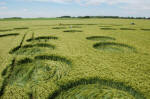 Yatesbury Field (1), Wiltshire crop circle, aerial photo 10