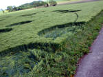 Yatesbury Field (1), Wiltshire crop circle, aerial photo 24