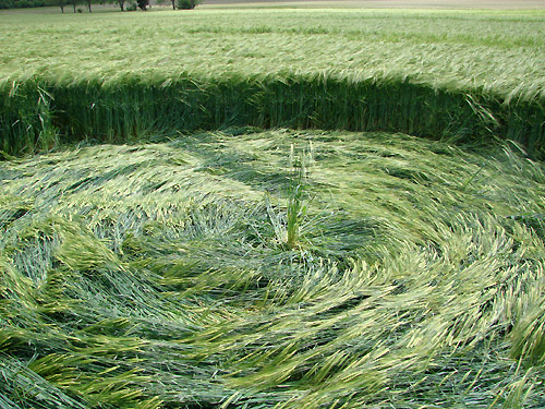 Yatesbury Field (1), Wiltshire crop circle, aerial photo 23