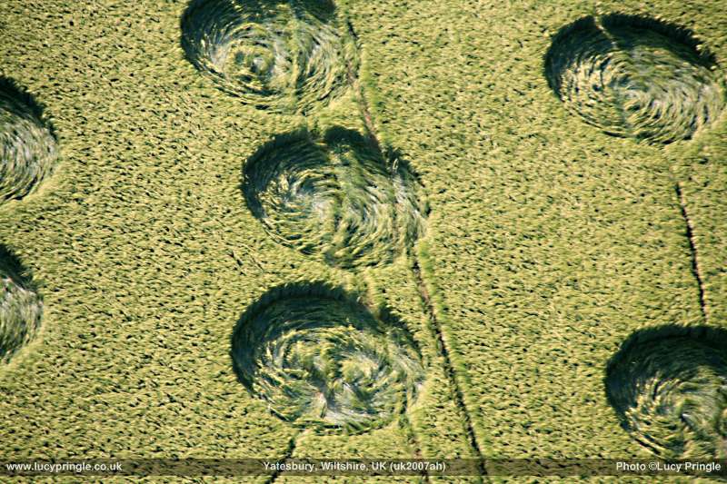 Yatesbury Field (1), Wiltshire crop circle, aerial photo 4