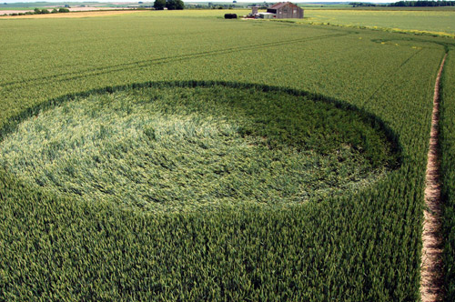Yatesbury Field (2), Wiltshire crop circle, aerial photo 2