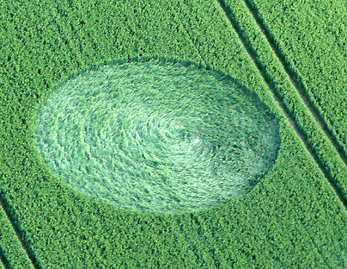 Yatesbury Field (2), Wiltshire crop circle, aerial photo 5
